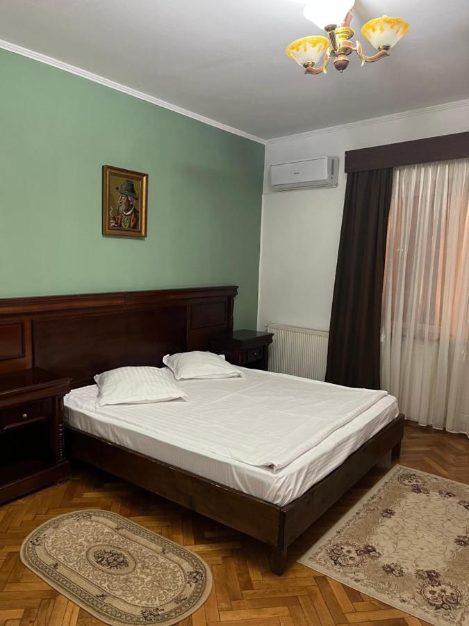 Pensiunea Diana Hotel Fagaras Ngoại thất bức ảnh