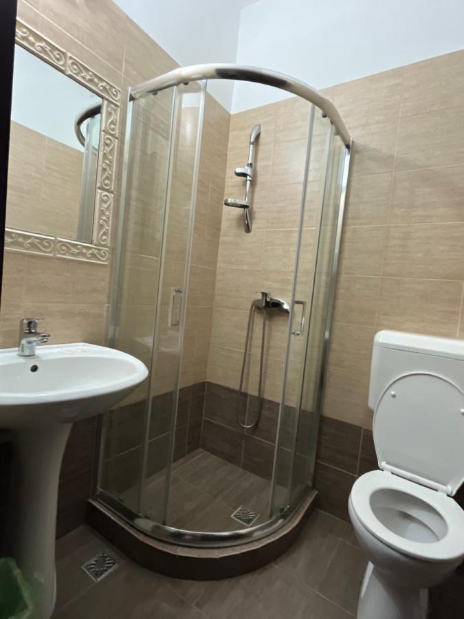 Pensiunea Diana Hotel Fagaras Ngoại thất bức ảnh