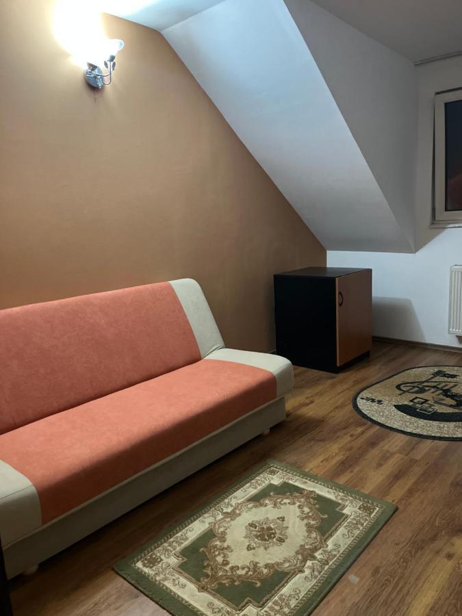 Pensiunea Diana Hotel Fagaras Ngoại thất bức ảnh