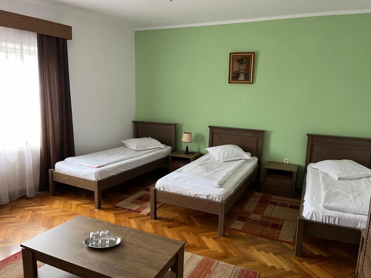 Pensiunea Diana Hotel Fagaras Ngoại thất bức ảnh
