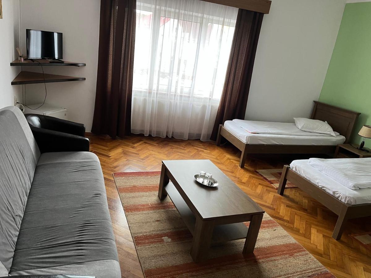 Pensiunea Diana Hotel Fagaras Ngoại thất bức ảnh