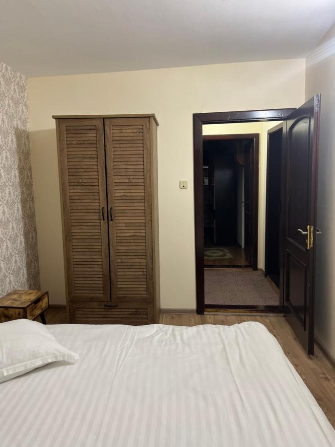 Pensiunea Diana Hotel Fagaras Ngoại thất bức ảnh