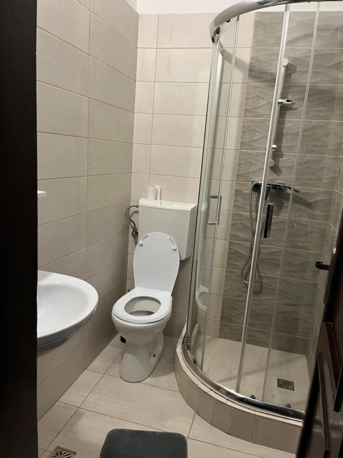 Pensiunea Diana Hotel Fagaras Ngoại thất bức ảnh
