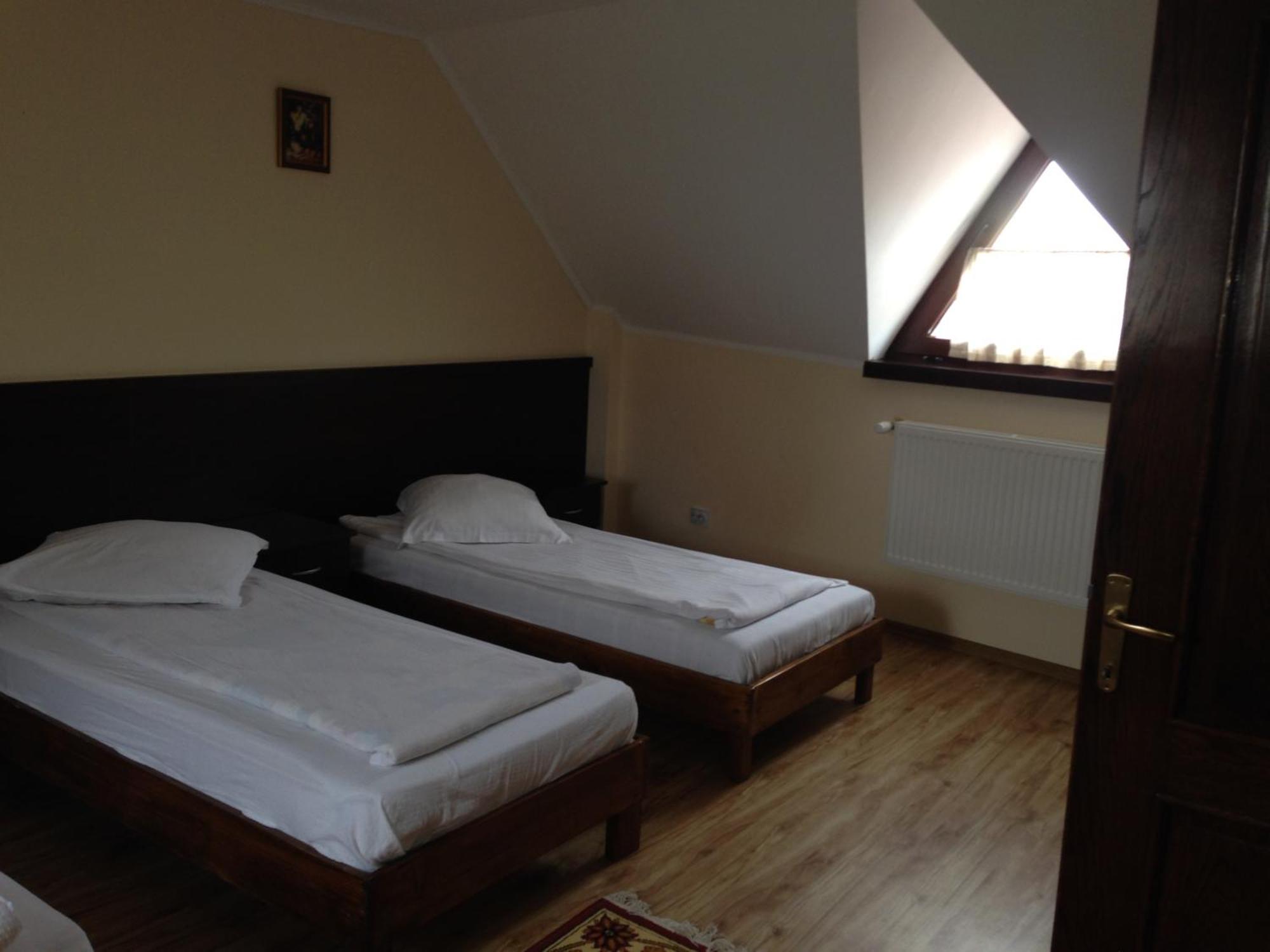 Pensiunea Diana Hotel Fagaras Ngoại thất bức ảnh