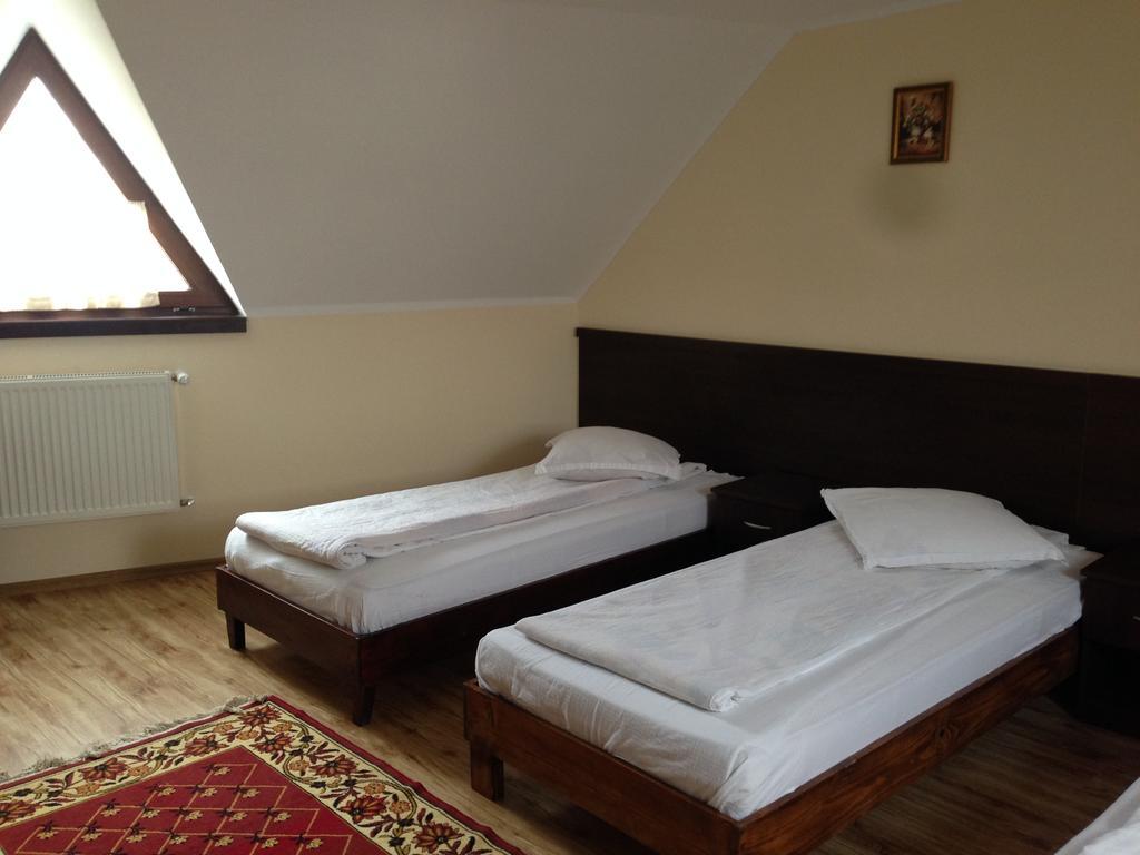 Pensiunea Diana Hotel Fagaras Ngoại thất bức ảnh