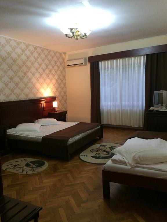 Pensiunea Diana Hotel Fagaras Ngoại thất bức ảnh
