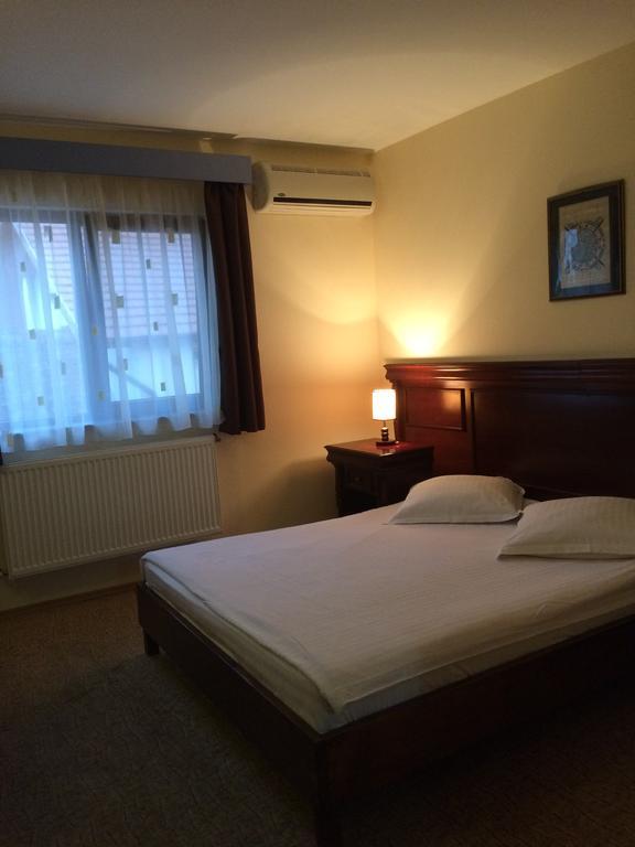 Pensiunea Diana Hotel Fagaras Ngoại thất bức ảnh